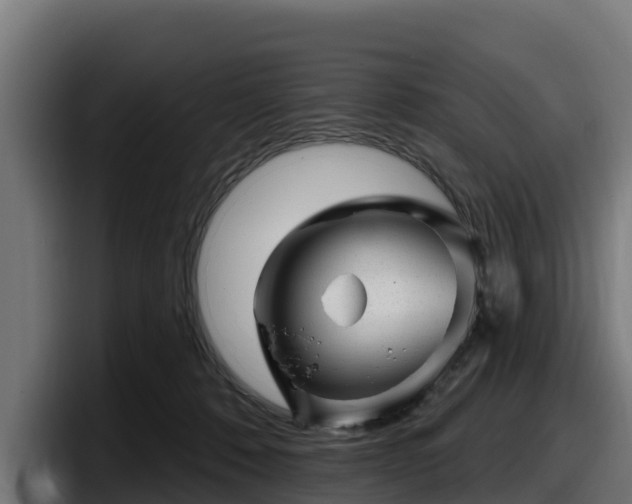 X0000097850320200803201543