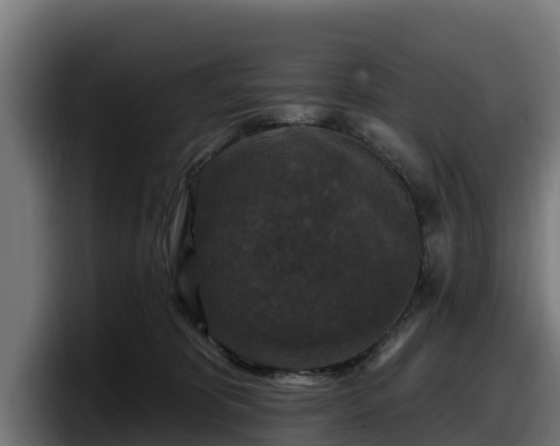 X0000097850325200803201543