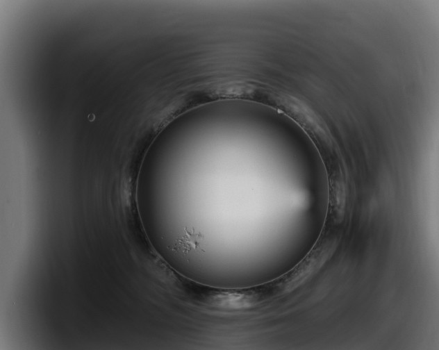 X0000097850326200803201543