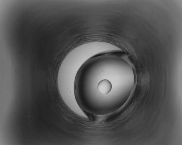 X0000097850328200803201543