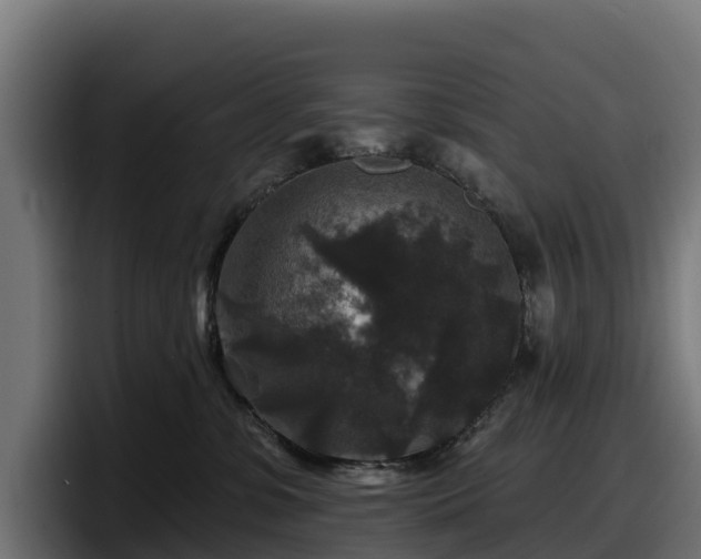 X0000097850331200803201543