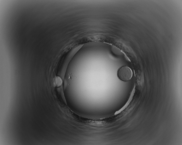 X0000097850332200803201543