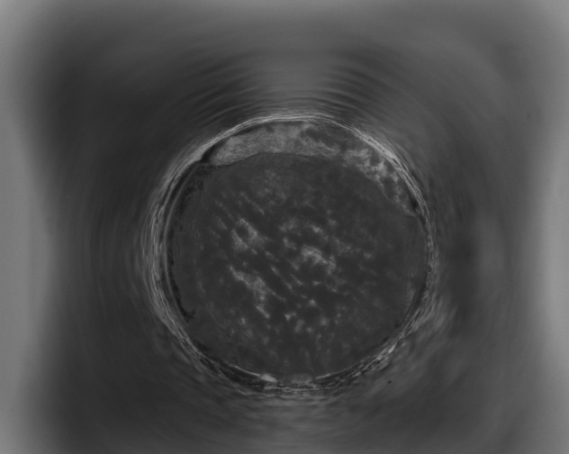 X0000097850337200803201542