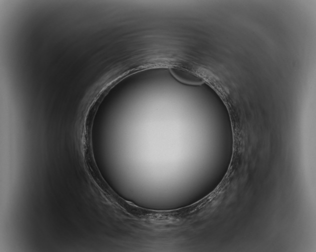 X0000097850338200803201542