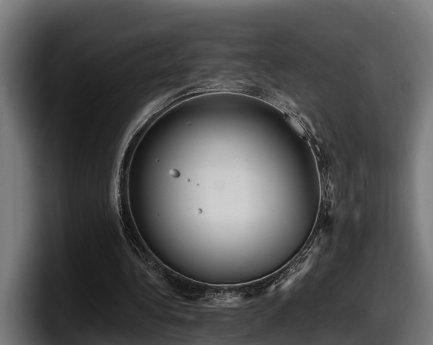 X0000097850340200803201542