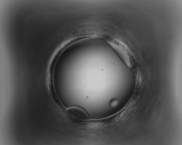 X0000097850342200803201542