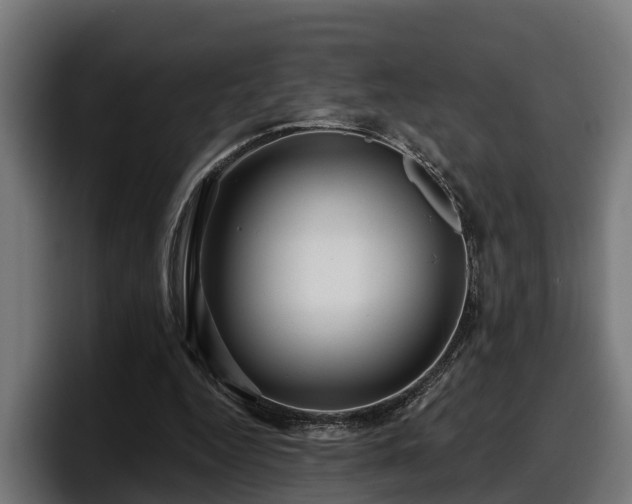 X0000097850344200803201542