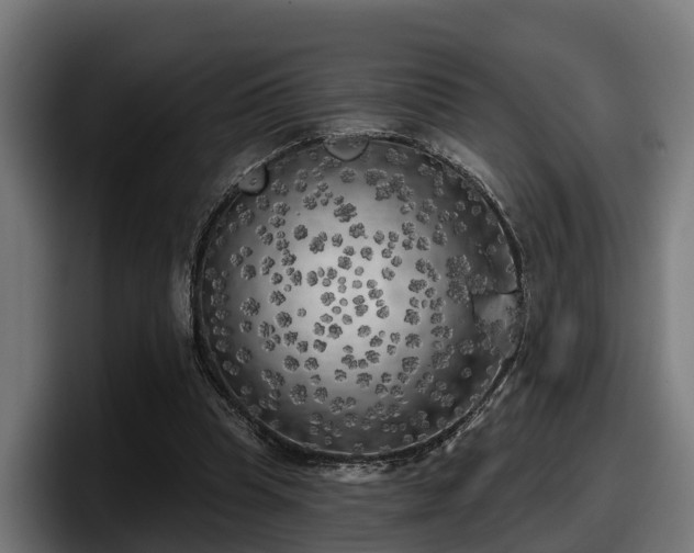 X0000097850345200803201542
