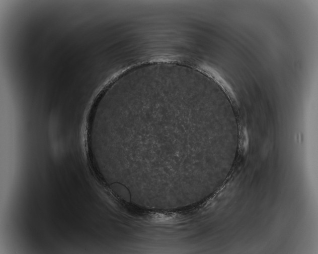 X0000097850346200803201542