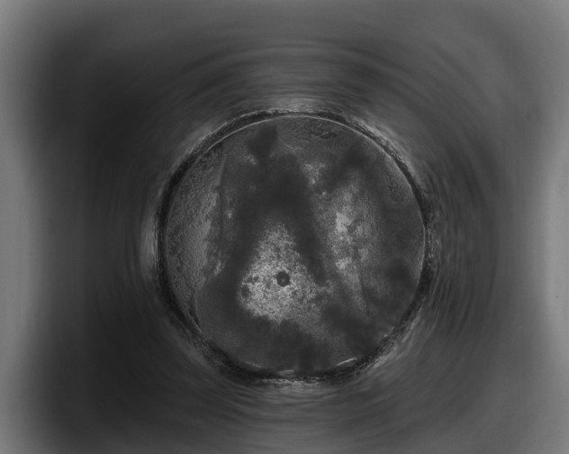 X0000097850347200803201542