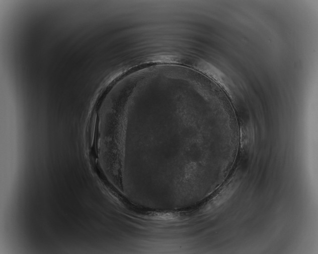 X0000097850349200803201542