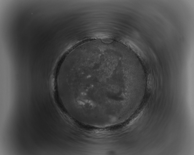 X0000097850351200803201542