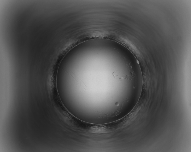 X0000097850354200803201542