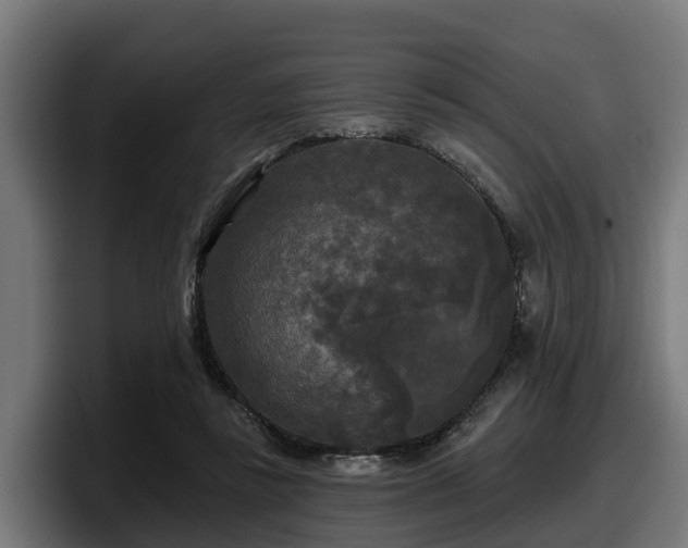 X0000097850355200803201542