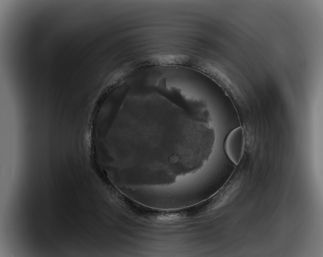 X0000097850357200803201542