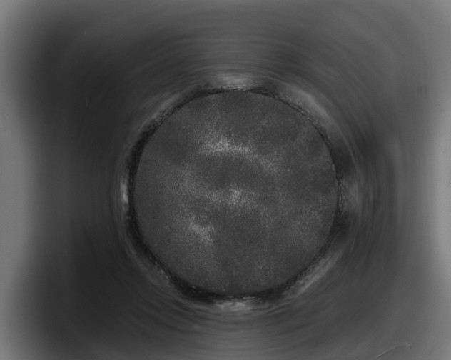 X0000097850358200803201542