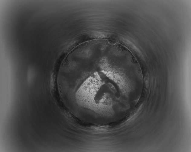 X0000097850359200803201542