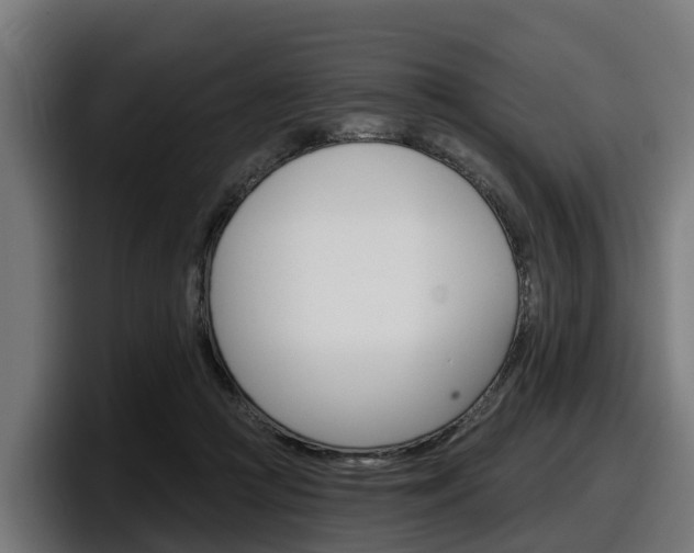 X0000097850361200803201542