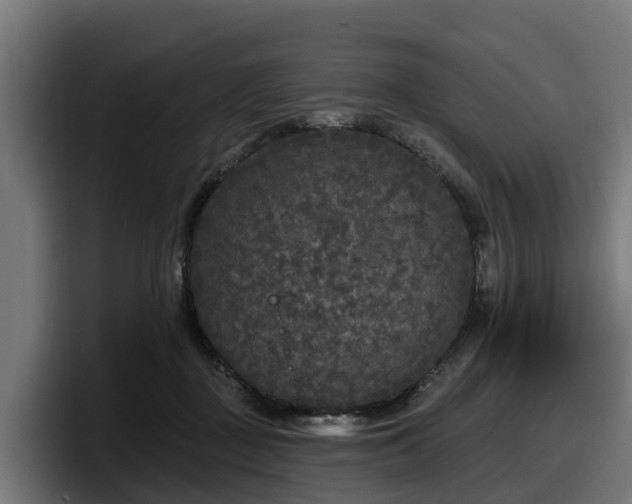 X0000097850363200803201542