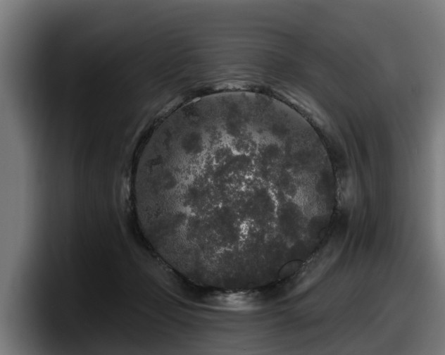 X0000097850365200803201542