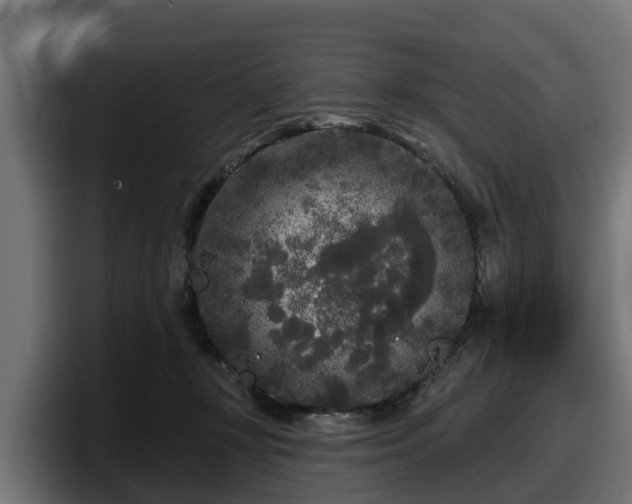 X0000097850367200803201542