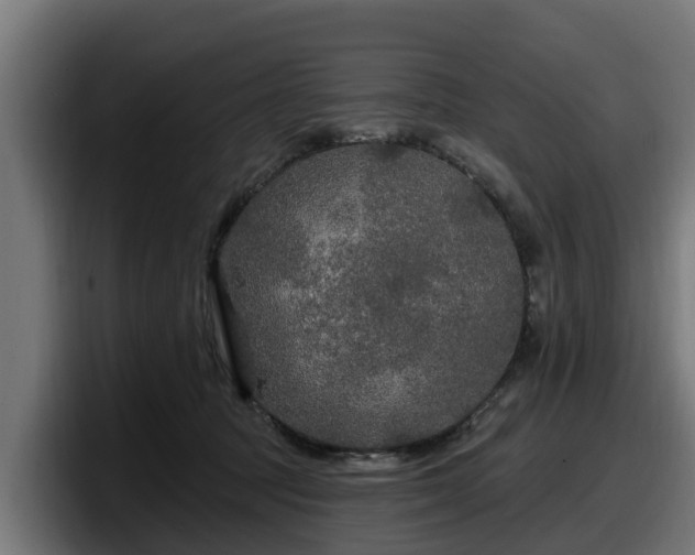 X0000097850369200803201543