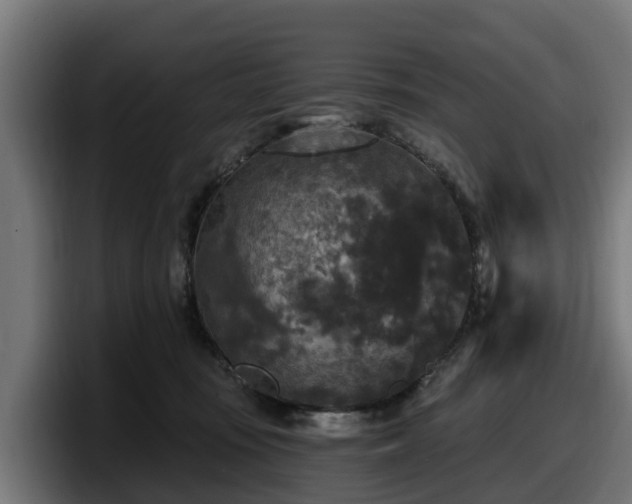 X0000097850371200803201543