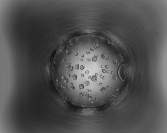 X0000097850373200803201543
