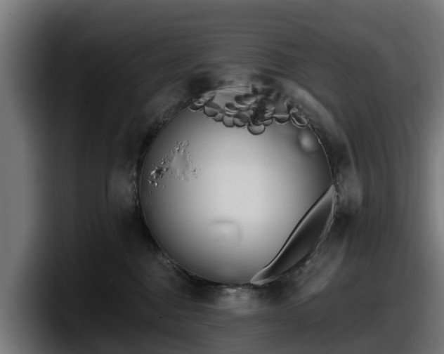 X0000097850376200803201543