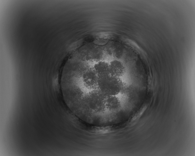 X0000097850377200803201543