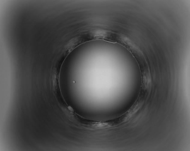 X0000097850379200803201543