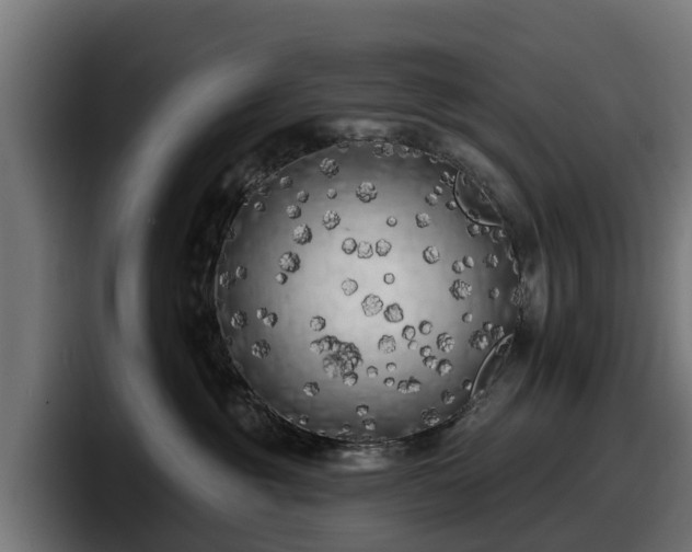 X0000097850381200803201543