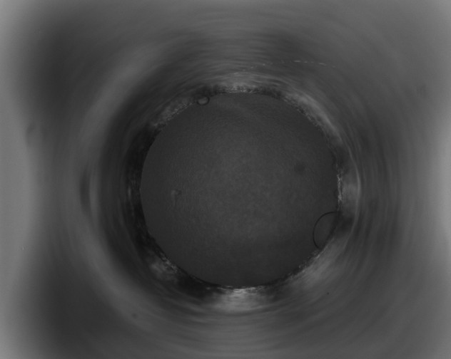 X0000097850382200803201543