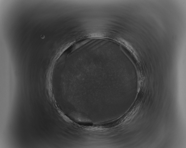 X0000097850385200803201542