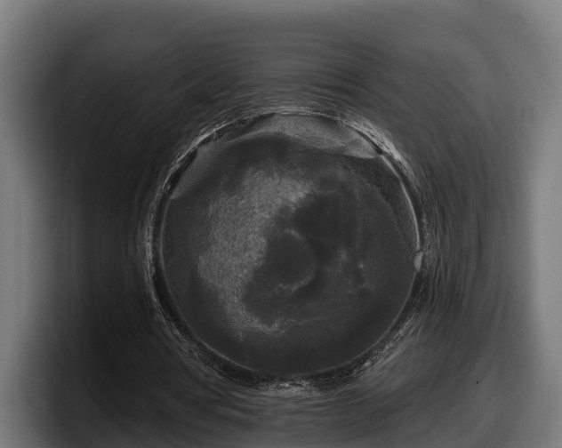 X0000097850386200803201542