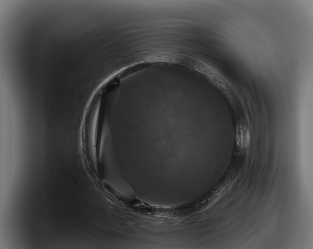 X0000097850388200803201542