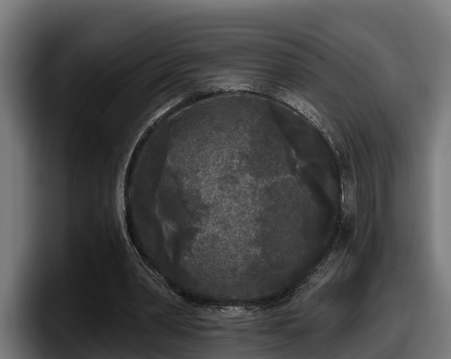 X0000097850390200803201542