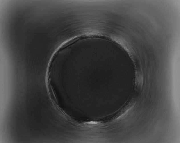 X0000097850391200803201542