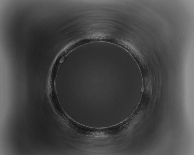 X0000097850392200803201542