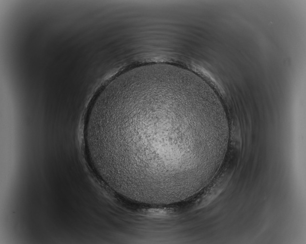 X0000097850394200803201542