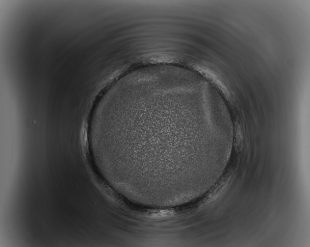 X0000097850398200803201542