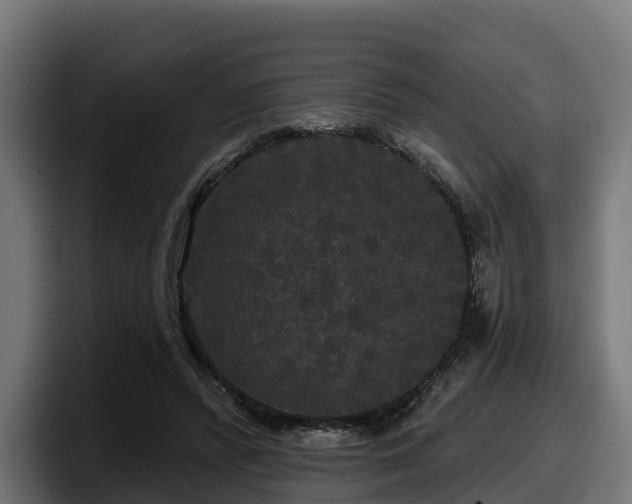 X0000097850400200803201542