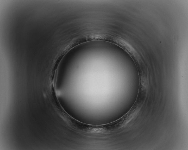 X0000097850401200803201542