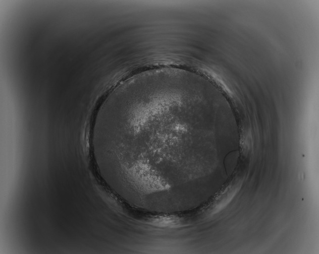 X0000097850402200803201542