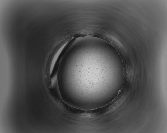 X0000097850404200803201542