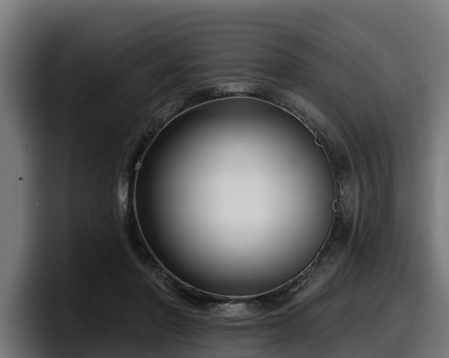 X0000097850406200803201542