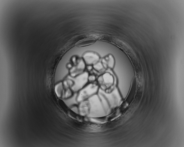 X0000097850409200803201542