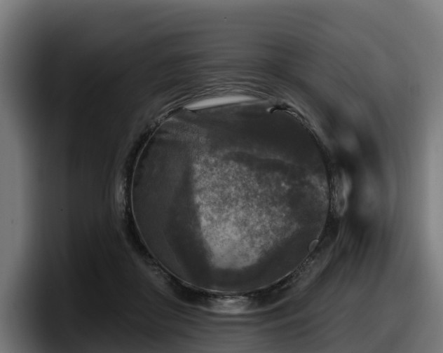 X0000097850410200803201542