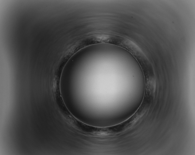 X0000097850412200803201542