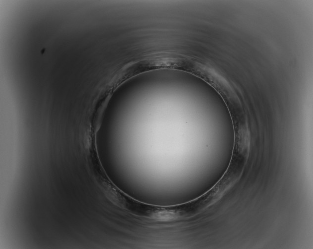 X0000097850413200803201542